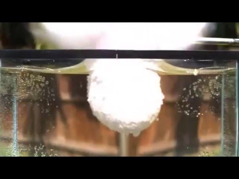 Molten Salt into Water