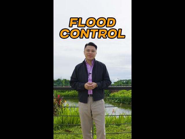 [BizSights] Not all flood control projects are bad. Here are some we can be proud of.