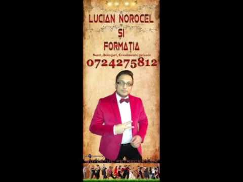 Lucian Norocel-Vagabondul vieții mele