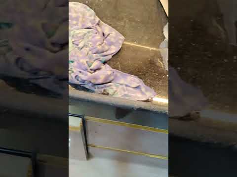 Stainless steel kitchen trolley