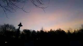 WORTH IT  (The Clark family)