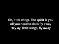 Mark Gormley - Little Wings