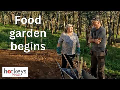 Starting our Portugal homestead food garden - Raised beds & wild boar fence - EP119