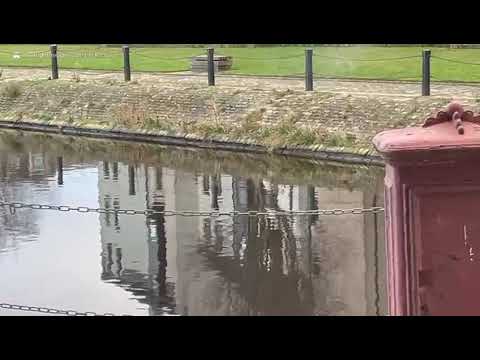 Never underestimate the power of a mustard seed...