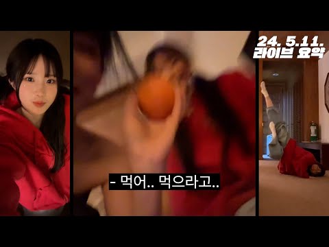 약간의 광기가 느껴지는 필리핀 라이브 [프로미스나인 송하영 이채영]
