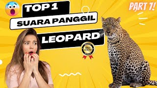 Download lagu SUARA PANGGIL Walet LEOPARD 2 | SUARA PANGGIL TERBAIK 2023 👌 mp3