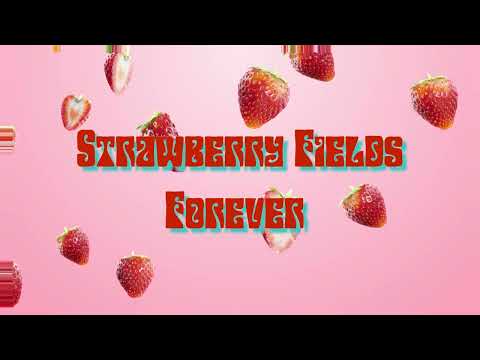 Khalil Seibi - Strawberry Fields Forever (Official Visualizer)
