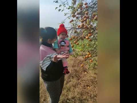 Shanice luv’s Kenu 🍊🍊🍊🍊🍊