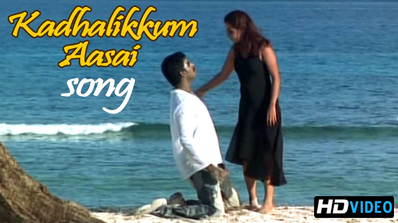 Kadhalikkum Aasai Song Lyrics | Chellamae | Kay Kay, Chinmayi