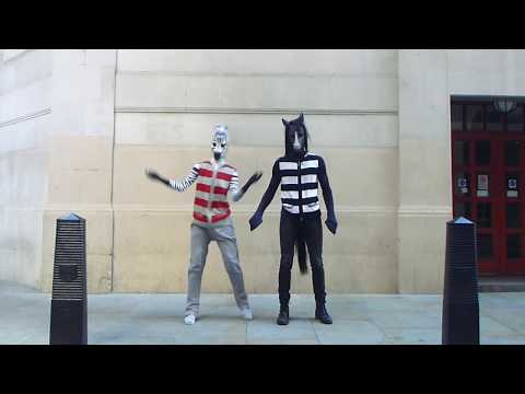 Humanimal Fashion - 4