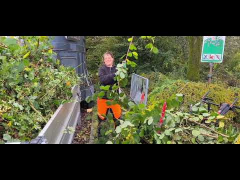 Honda hp 400 Allwegtransporter