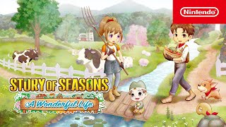 Watch and explore about STORY OF SEASONS: A Wonderful Life PC Steam-Konto vorinstalliert