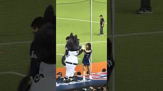 【Team Taiwan】#JC 台湾VSチェコ交流試合(台灣捷克國際交流賽)@台北大巨蛋)20241103 #台湾チア #cheerdance #cheerleading  #teamtaiwan