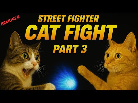 Street Fighter: Cat Edition Part 3 - Bemoner