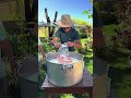 I MADE FRESH CHEESE WITH MY FATHER