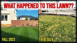 Lawn DESTROYED By Winter...What Happened??