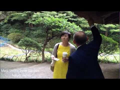 Noisy Crows at Meiji Shrine, Tokyo