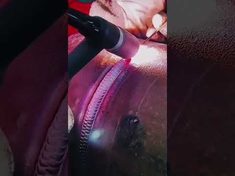 Tig Welding  🤍 #tig #mig #shorts #views #subscribe #welding #welder #tigwelder #tig #weld #weldings