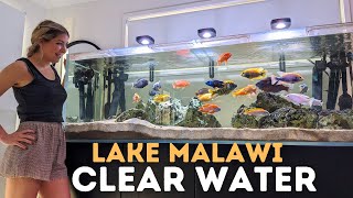 Getting Crystal CLEAR Aquarium Water in an African Cichlid Tank!