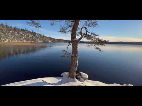 Liptone - Beautiful World (Official Video)