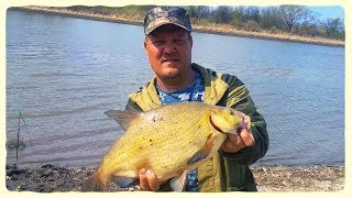 Рыбалка на свияге в ульяновске осенью