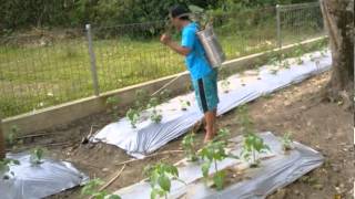 Download lagu -orang sepertiku - bip mp3