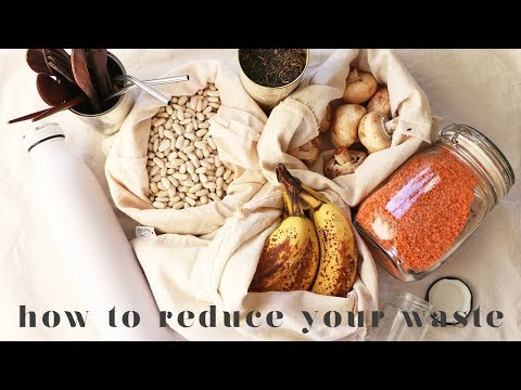 download lagu mp3 mp4 Less Waste Tips, download lagu Less Waste Tips gratis, unduh video klip Less Waste Tips
