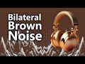 Bilateral Brown Noise - Low Frequency Goodness