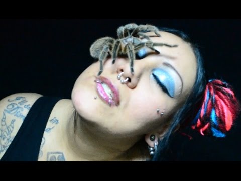 Razakel "Softly So Sweetly" OFFICIAL MUSIC VIDEO