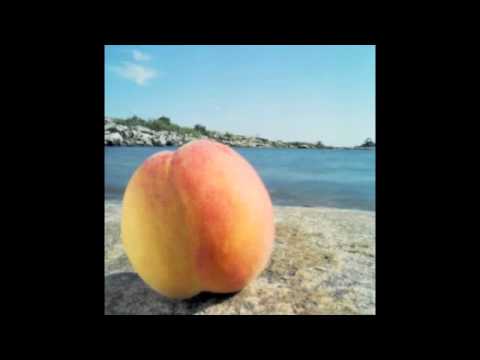 Hypnotized Touch (Bloodhound Gang & Plies Mashup)