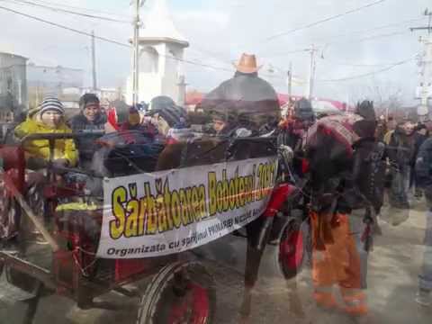 Botezul Cailor 2013 Nicolae Balcescu jud.Constanta