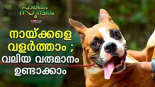 Make Huge profit through Dog breeding | Haritham Sundharam EP 254 | Kaumudy