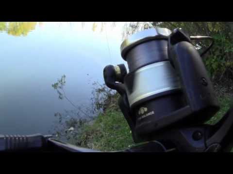 Winkelpicker Special by Maxxx Fishing HD