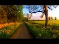 30 Minutes Workout Virtual Scenery Treadmill Exercise Machine Cotswolds UK 1080 60fps