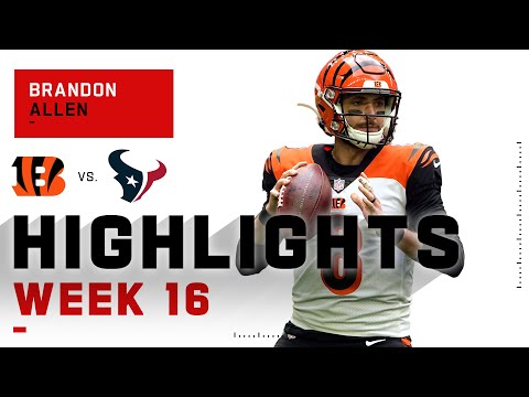Brandon Allen Shines w/ 371 Passing Yds & 2 TDs | NFL 2020 Highlights