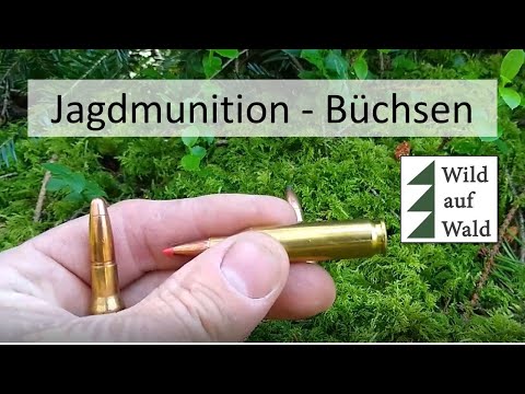 🦌 Ammunition #2: Rifle ammunition