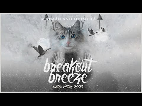 [PROGRESSIVE & BREAKS MIX] Breakout Breeze - Winter Edition 2023 / Reuploaded