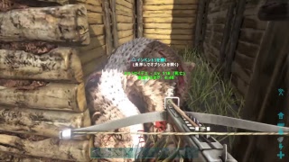 [PS4]ARK ラグナロク スパ鯖 垂れ流し