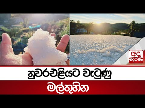 නුවරඑළියට වැටුණු මල්තුහින