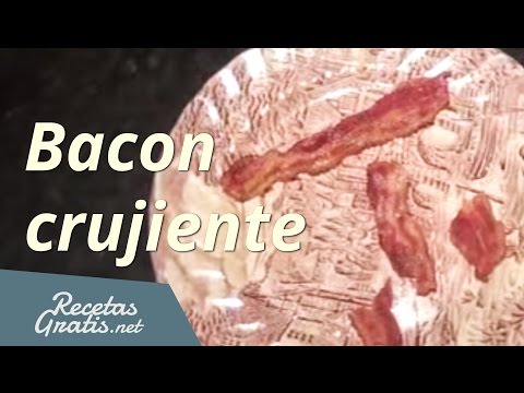 download lagu mp3 mp4 Bacon Crujiente En Microondas, download lagu Bacon Crujiente En Microondas gratis, unduh video klip Bacon Crujiente En Microondas
