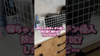 猫ちゃんキッチン侵入防止策にDIYしたんだけど… #cat #猫のいる暮らし #kitchen