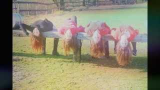 ≈ I believe it's time ≈