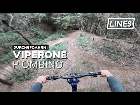 Viperone - Piombino  🇮🇹 | LINES