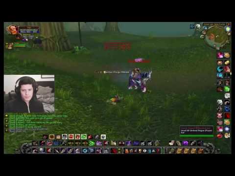 WoW vanilla 60 rogue Nostalrius / Elysium -This is the reason why I have 60's on both factions