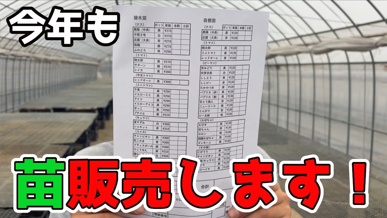 今年も”苗”たくさん用意してます！！