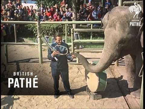 Out Takes / Cuts From Cp 584 - Reel 2 Of 2 - Training Animals (1966)