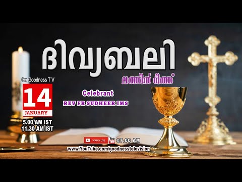 HOLY MASS MALAYALAM | 14 JAN 2026 |LATIN MASS  |Rev Fr Sudheer IMS  |TODAY LIVE MASS |GOODNESS TV