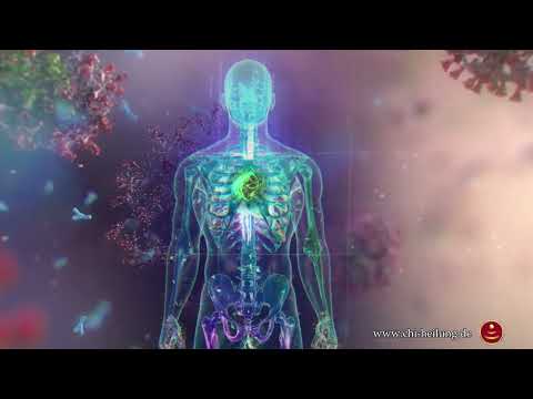 Hartmut Lohmann - Ist Multiple Sklerose heilbar?