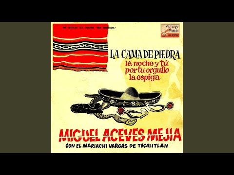 download lagu mp3 mp4 Miguel Aceves Meja Songs, download mp3 Miguel Aceves Meja Songs free downloadn, video klip Miguel Aceves Meja Songs