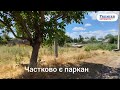 Видео превью